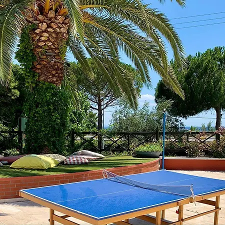 Club Afrodit Resort 3*